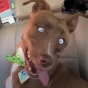 Meet your Posher, Lawrence